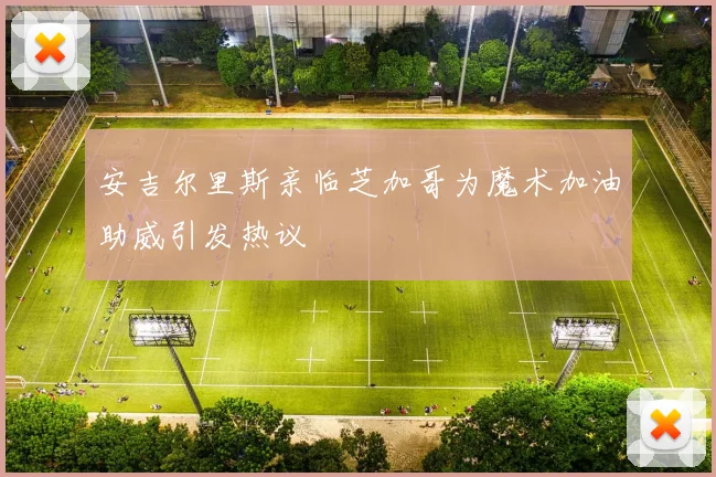 安吉尔里斯亲临芝加哥为魔术加油助威引发热议