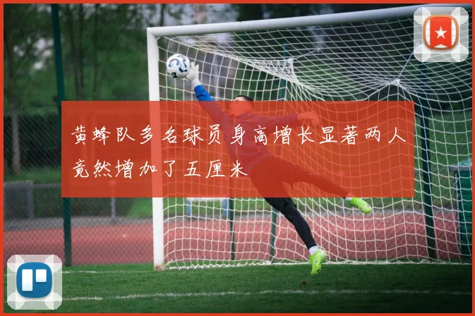 黄蜂队多名球员身高增长显著两人竟然增加了五厘米