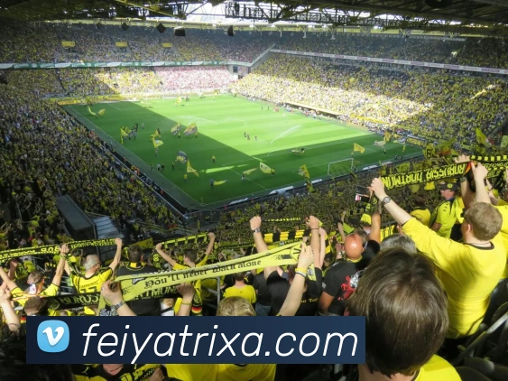 飞亚体育APP 封面图